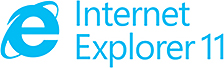 internet explorer11